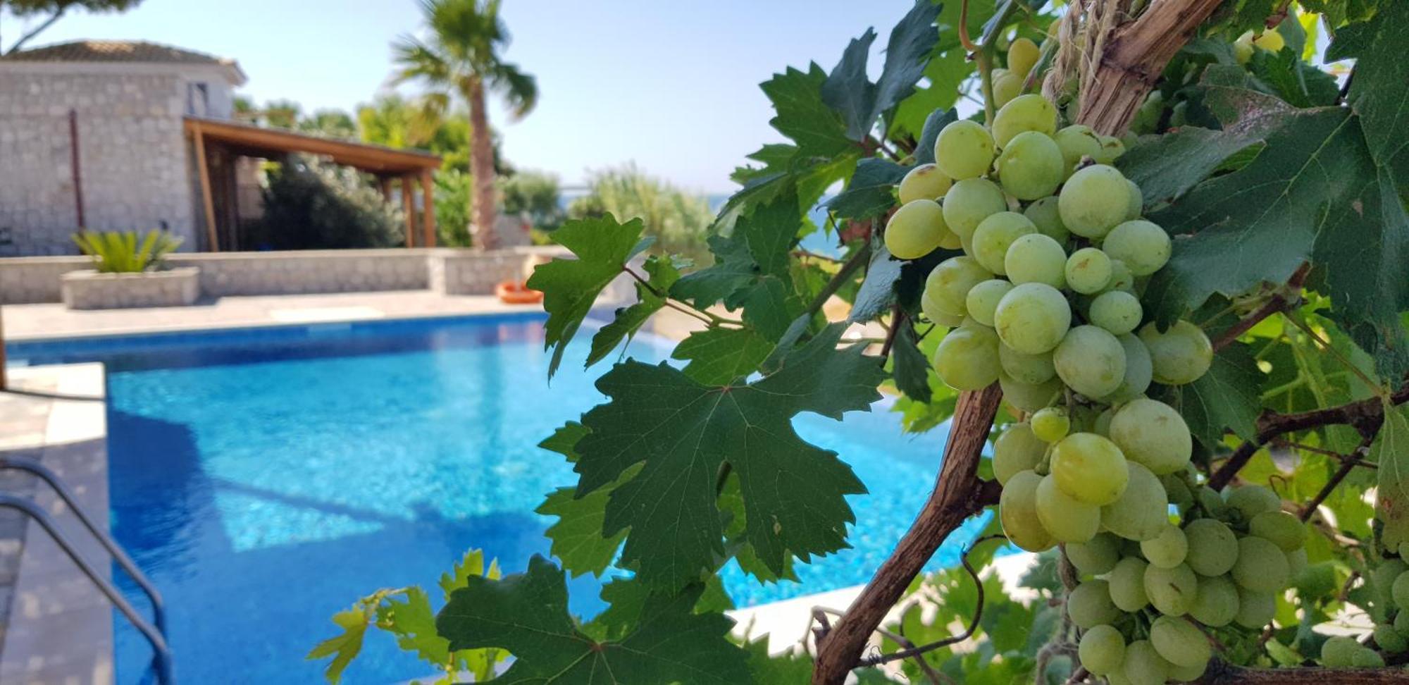 Villa Sealine Pefki  Phòng bức ảnh